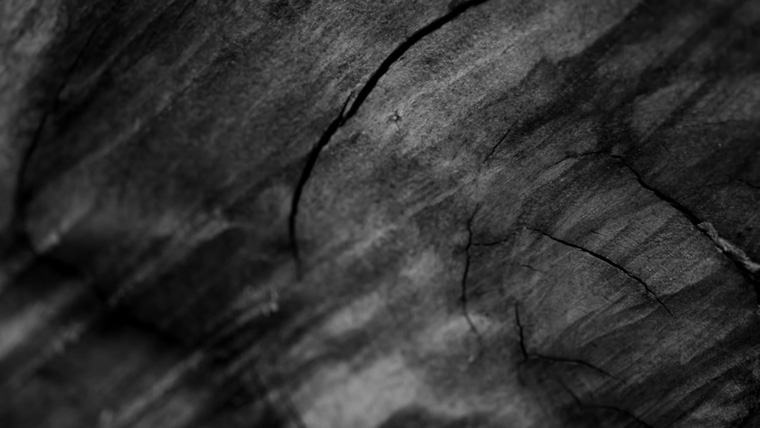 Denovali Records